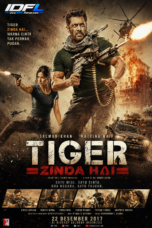 Tiger Zinda Hai (2017)