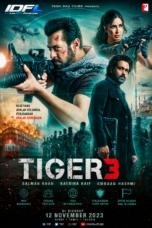 Tiger 3 (2023)