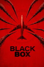 Black Box (2026)